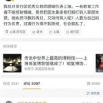 女子拟落户上海引争议：曾经伤医 官方称将复核