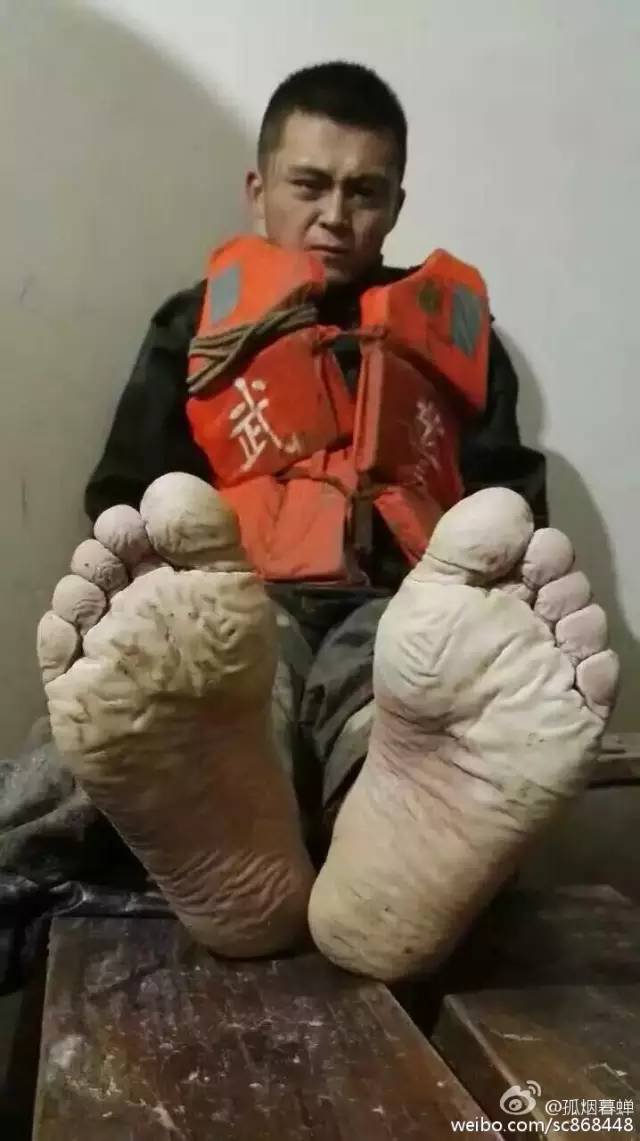 10456886928600263733