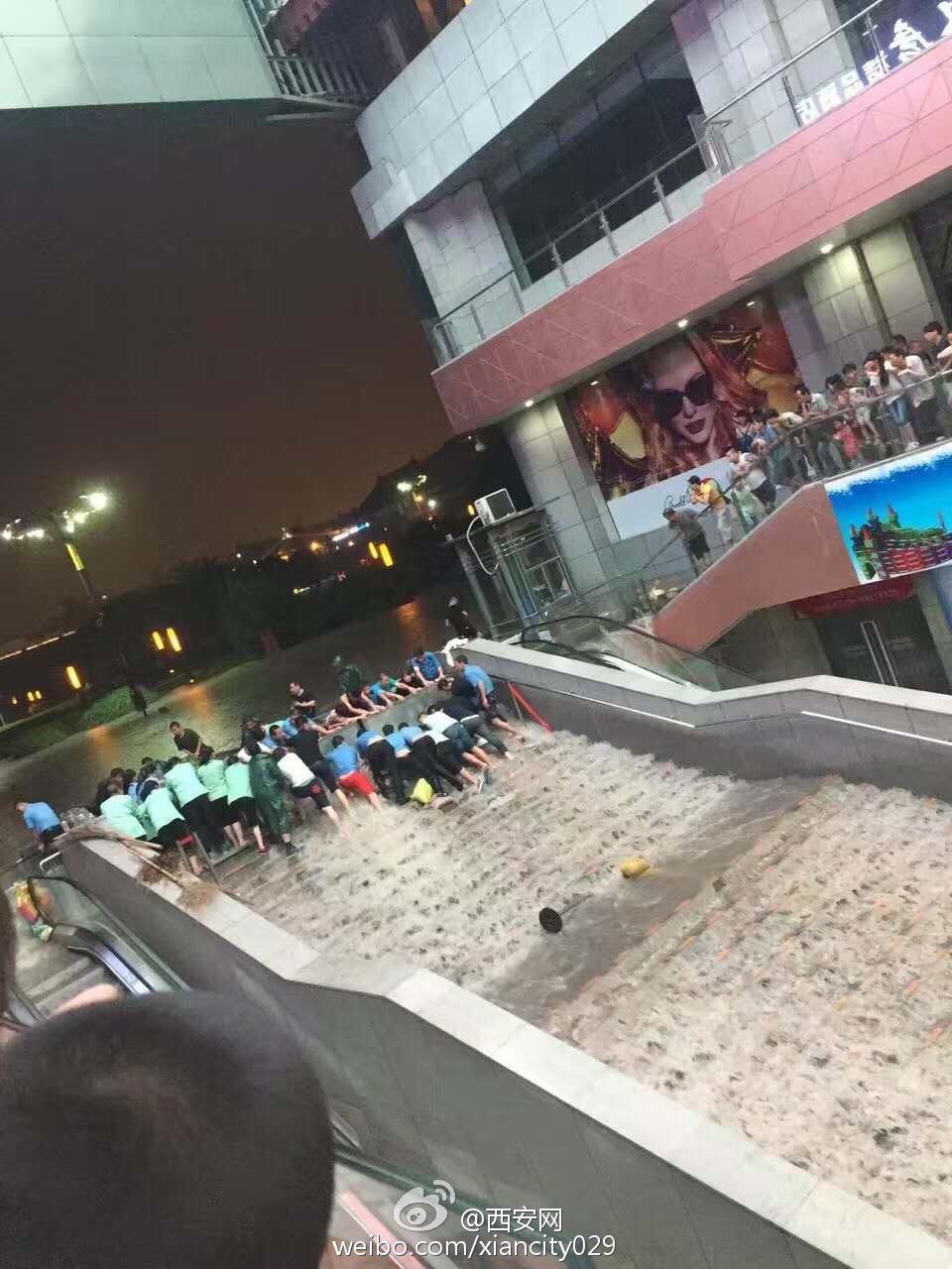 3509653576650495919