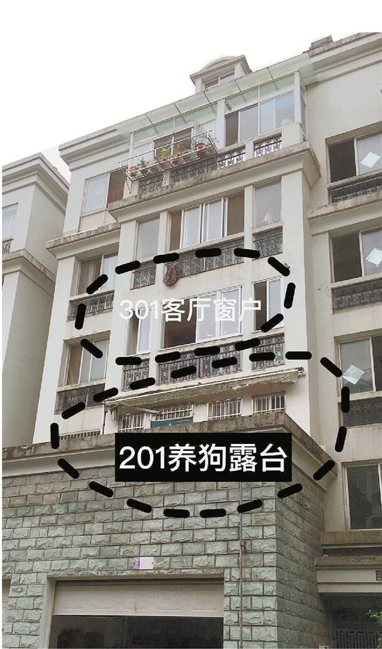 557aa95e2af7872_w550_h934