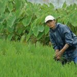 如今农村30多岁的男人都在干啥？