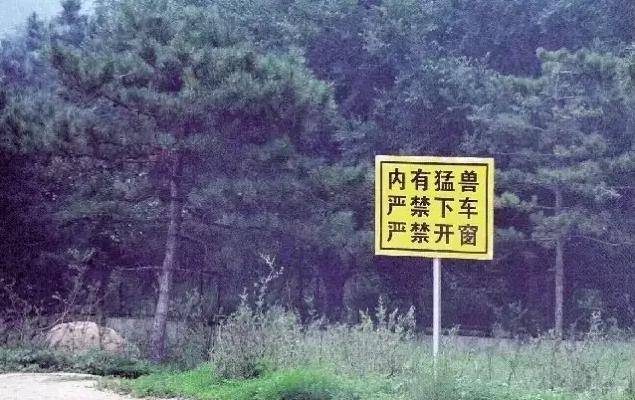 9357247429332502437