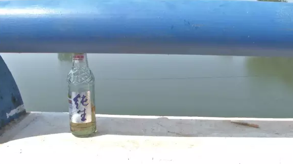 11377648440420280590
