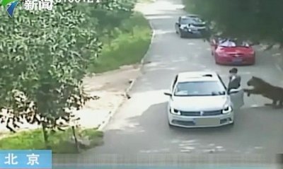 11851654422463523936