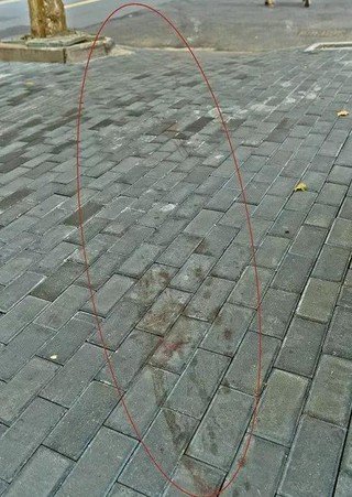 5576506440844580910