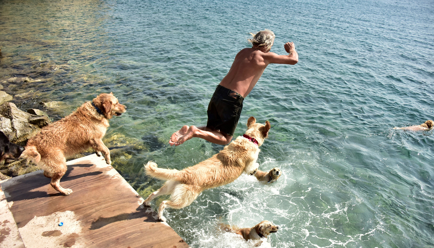 MUGLA, BODRUM - SEPTEMBER 20 : Retired Turkish skipper Senol Ozbakan 56-year-old is seen with his dogs in Turkey's Mugla on September 19, 2016. Ozbakan who has thousand of followers on his social media account "Golden Cetesi" (Golden Gang) looks after the abandoned "Golden Retriever" breed dogs in Mugla, Turkey. (Photo by Ali Balli/Anadolu Agency/Getty Images)