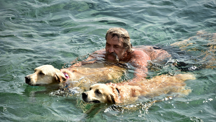 MUGLA, BODRUM - SEPTEMBER 20 : Retired Turkish skipper Senol Ozbakan 56-year-old is seen with his dogs in Turkey's Mugla on September 19, 2016. Ozbakan who has thousand of followers on his social media account "Golden Cetesi" (Golden Gang) looks after the abandoned "Golden Retriever" breed dogs in Mugla, Turkey. (Photo by Ali Balli/Anadolu Agency/Getty Images)
