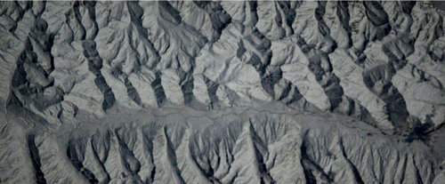 12031459-500