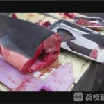 南通鱼贩当街售卖鲨鱼 任意部位均为20元
