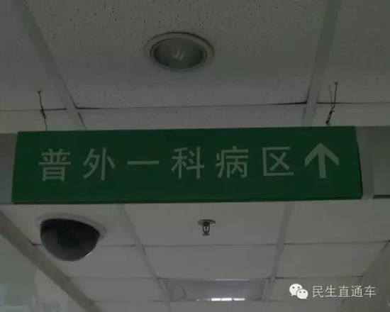 16069607015548477072