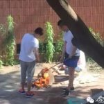 潮汕3名男子小区内当街烤狗震惊网友(图)