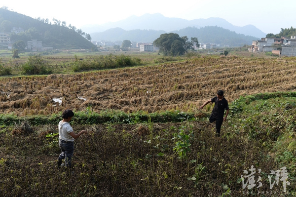 2016年11月17日，江西吉安永丰县石马镇严辉村，范家发和妻子在地里收花生。 范家发把拐杖放下，一屁股坐在板凳上点了一支烟，默默地吐着烟雾。在9岁的儿子范小勤因与马云撞脸走红后，他几乎就没有闲下来的时间，原来家中洗衣做饭接送孩子及下地干农活一件也不能少干，现在还要接待纷至沓来的访客。范家发的家所在地，一个位于江西吉安永丰县石马镇的僻壤乡村，也因为他儿子的走红打破了往昔的平静。 范家发今年59岁了，在20多岁时被毒蛇咬伤无奈截肢了右腿，独腿的他娶了患有小儿麻痹症致智力障碍的妻子，生下了大儿子范小勇和二儿子范小勤，家中一贫如洗，依靠低保过活。更为不幸的是，范家发80多岁的妈妈又患上了老年痴呆。 一条腿的范家发几乎一人承担了家中所有的家务，还要打零工挣钱养活家人。妻子除了放放牛，帮忙挑挑东西之外几乎什么活都不会干。范家发一早起来要烧火做饭，给孩子洗脸换衣服，然后骑上三轮车送孩子们去上学。返回后，督促妻子牵牛到山上去吃草，范家发把早饭用过的碗筷、孩子昨夜换下的衣服和鞋子都一一洗掉。中午放学时间范家发又得去接孩子回来吃午饭，吃好再送回学校去上下午的课。而下午通常他会带着妻子到地里去干农活，日子一成不变。这个每日为生计操劳奔波的农民，怎么也想不到自己的二儿子范小勤会成为网红，并且红得有点惊人。 文字未完整 早报见习记者 赖鑫琳 图